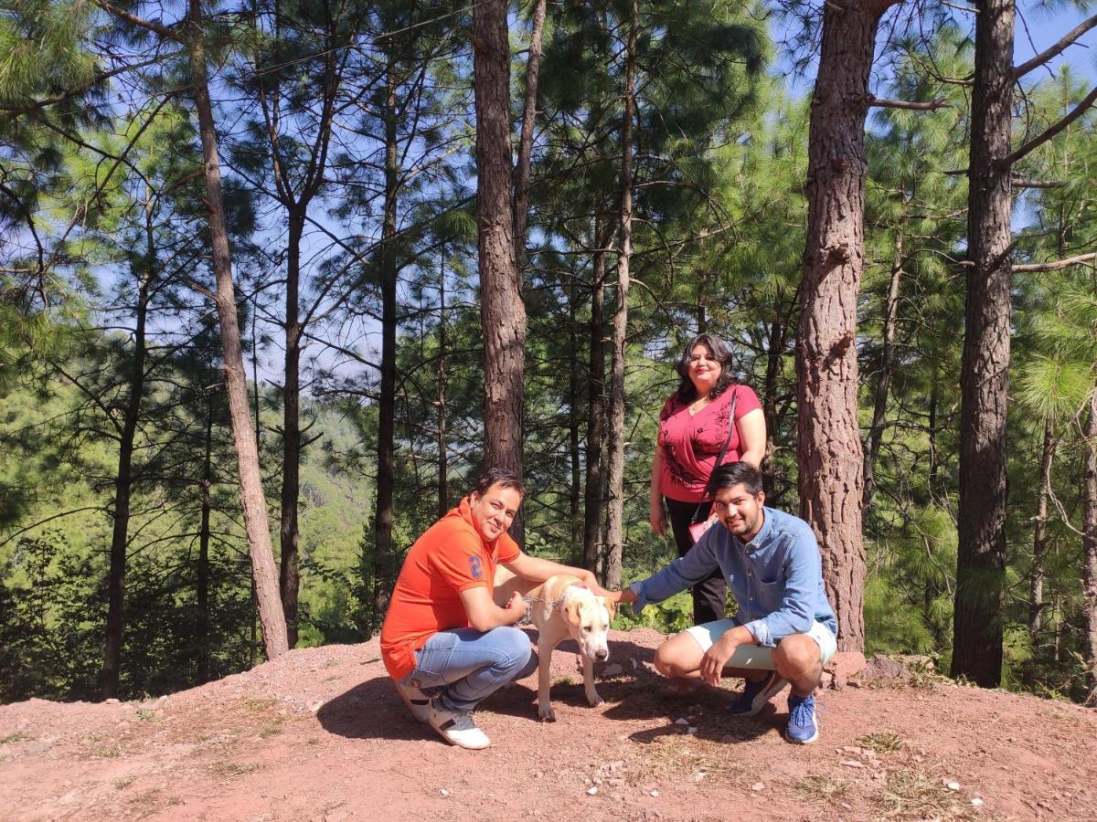 The Asgard Kasauli Bed and Breakfast Esterno foto