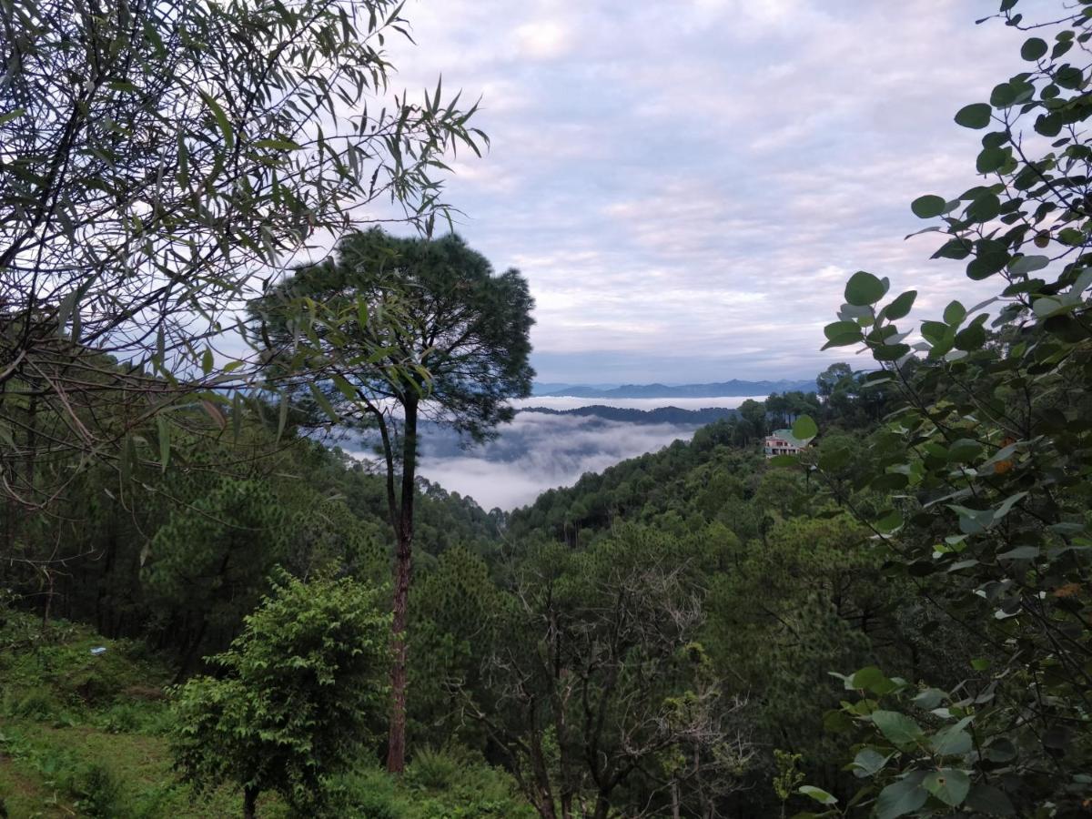 The Asgard Kasauli Bed and Breakfast Esterno foto
