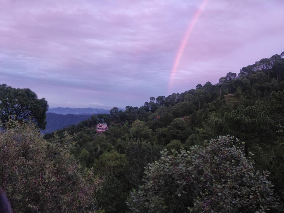 The Asgard Kasauli Bed and Breakfast Esterno foto