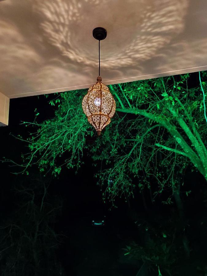 The Asgard Kasauli Bed and Breakfast Esterno foto